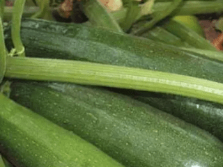 Courgette Skvorushka
