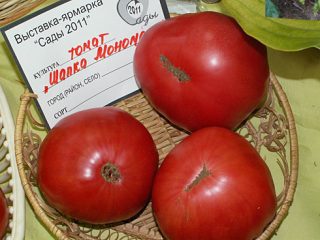 Klobúk Tomato Monomakh