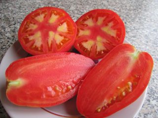Giardiniere di pomodoro Petrusha