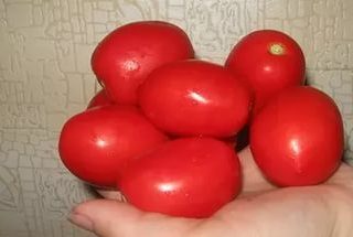 Tomato Adeline