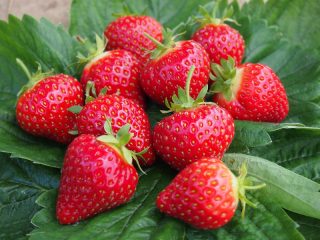 Ang pinakamahusay na mga varieties ng strawberry: mga review