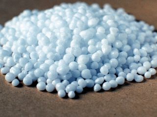 Fertilizzante perfosfato: applicazione per pomodori