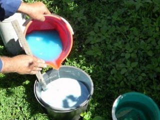 Cómo diluir el sulfato de cobre para procesar un tomate.