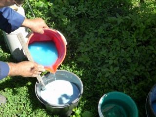 Cum se face un amestec de spray de roșii Bordeaux