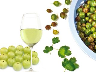 Vinho de groselha caseiro