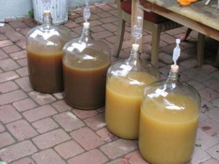 Feijoa moonshine recept