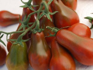 Tomate Pear: características e descrição da variedade