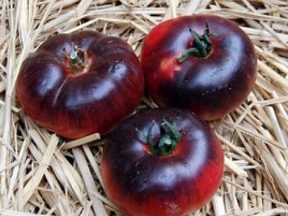 Gioiello Pomodoro Ametista: caratteristiche e descrizione della varietà