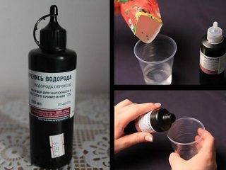 Como regar mudas com água oxigenada
