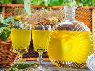 Tintura de espinheiro-mar: 18 receitas fáceis