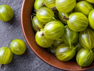 Nuttige eigenschappen en contra-indicaties van kruisbes