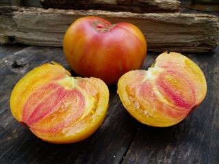 Fogos de mel de tomate: características e descrição da variedade