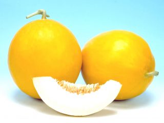 Melon Golden: recenzii și descriere