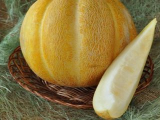 Melon Ethiopka: comentários e descrição