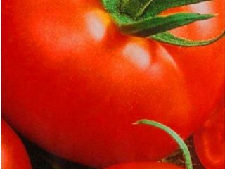 Tomato Alpha: charakterystyka i opis odmiany