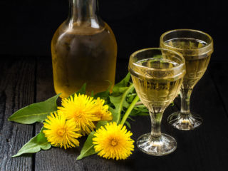 Vino di tarassaco: foto, benefici, gusto, recensioni