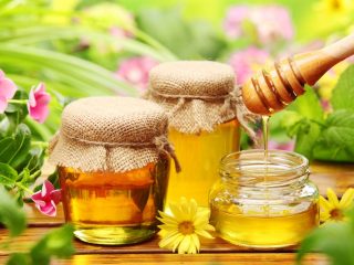 Dandelion Jam kasama si Lemon