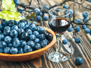 Versare (tintura) di mirtilli a casa: 8 ricette