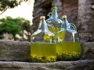 Ricette per liquore all'uva spina fatto in casa con e senza vodka