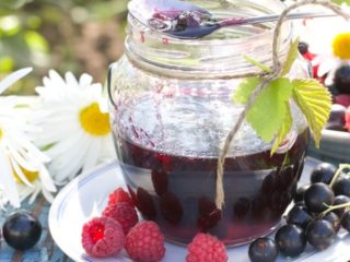 Recept za pekmez od maline i crnog ribiza