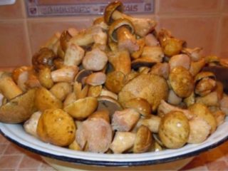 Funghi sott'aceto: le migliori ricette per l'inverno
