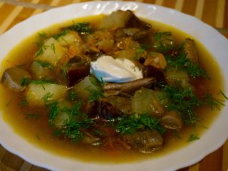 Ang sopas ng kabute mula sa frozen na boletus