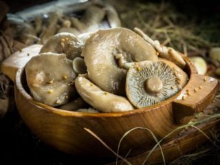 Serushki in salamoia: una ricetta per l'inverno