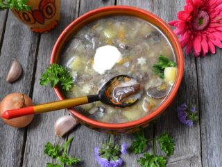 Boletus kabute na sopas: mga recipe na may mga larawan