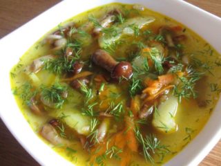Mushroom sopas mula sa sariwang honey agarics: mga recipe na may mga larawan