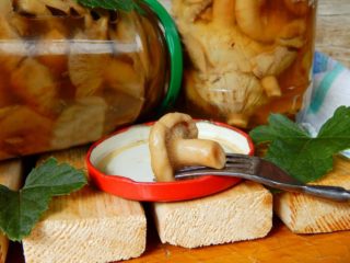 Come sottaceto le onde per l'inverno: ricette semplici e deliziose con foto