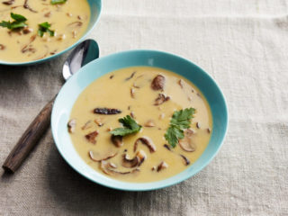 Zuppa di formaggio con miele di agarico: ricette