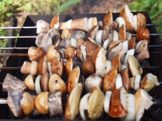 Borowiki na grillu: przepisy na grilla