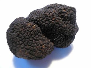 Tartufo himalayano: commestibilità, descrizione e foto