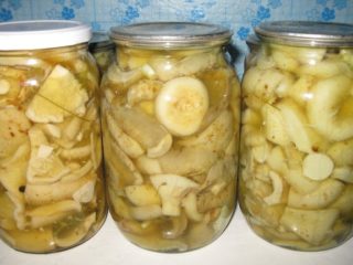 Funghi al latte per l'inverno sotto una copertura di ferro: quali usare, ricette per l'inverno