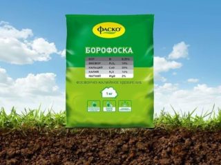 Fertilizzante Borofosk: applicazione, recensioni, composizione