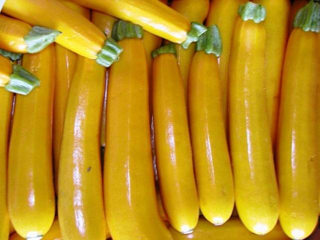 Courgette banane jaune