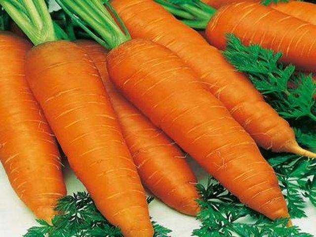 Grandes variétés de carottes