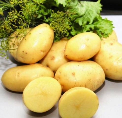 Riviera patatas
