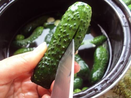Instant lightly salted cucumbers