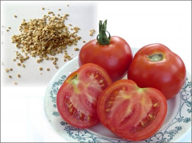 Uzgoj sadnica rajčice kod kuće