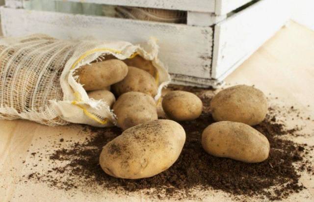Maaga at sobrang maagang pagkakaiba-iba ng patatas: paglalarawan, larawan, repasuhin