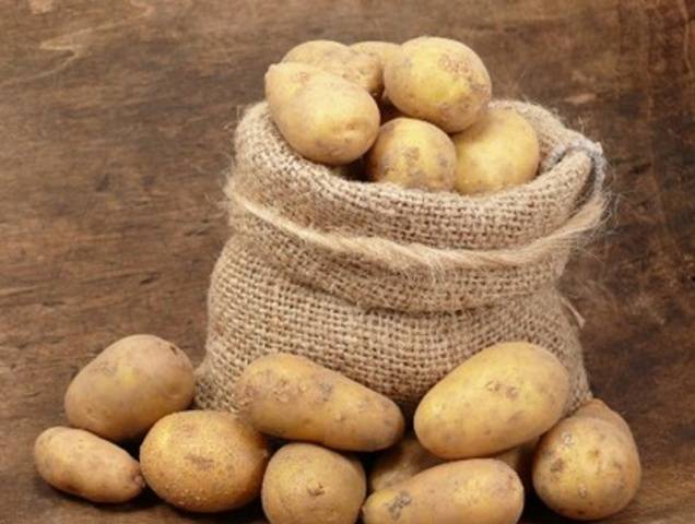 Obrada krumpira prije sadnje
