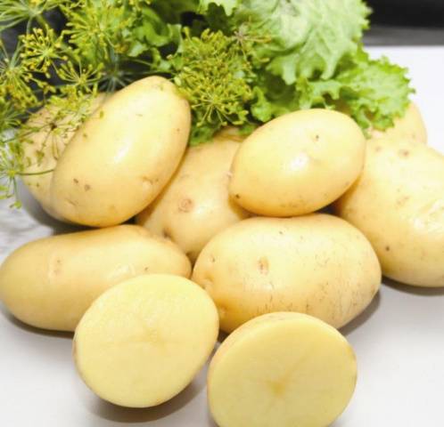 Early and super early potato varieties: description, photos, reviews